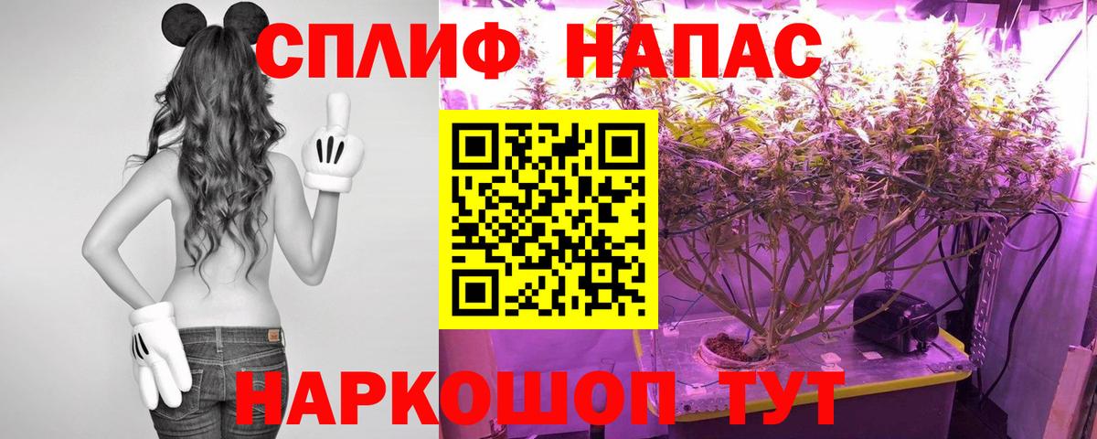 Карталы  Марихуана VHQ  Вход с VPN  Бошки Шишки MAZAR 